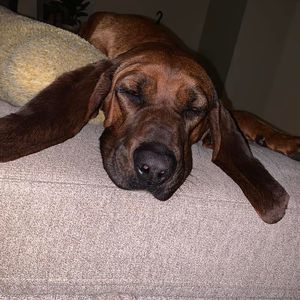 Meet your Posher, Mandie